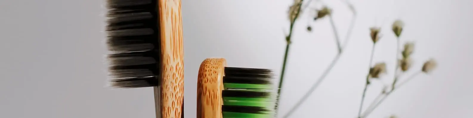 Don’t Forget Your Toothbrush