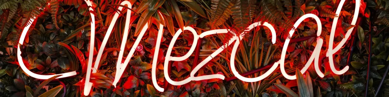 Neon “Mezcal” Sign With Greenery Background