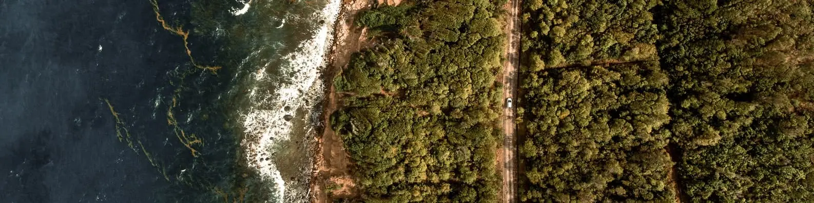 Shoreline from Above